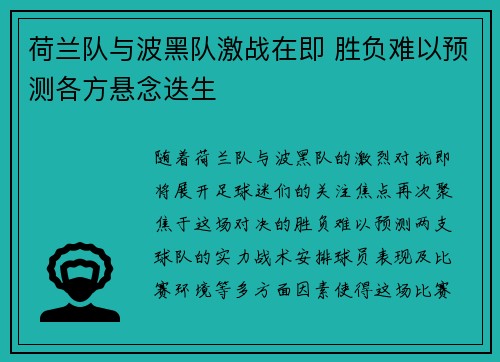 荷兰队与波黑队激战在即 胜负难以预测各方悬念迭生