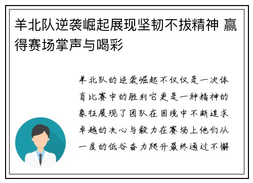 羊北队逆袭崛起展现坚韧不拔精神 赢得赛场掌声与喝彩