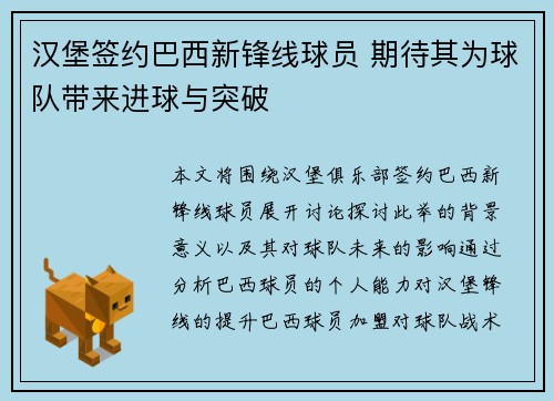 汉堡签约巴西新锋线球员 期待其为球队带来进球与突破